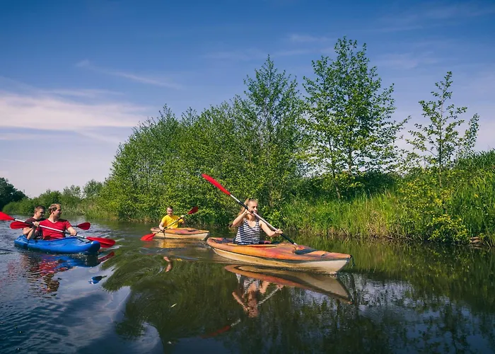 Klein Vink - 25 A * Broekhuizen (Limburg)